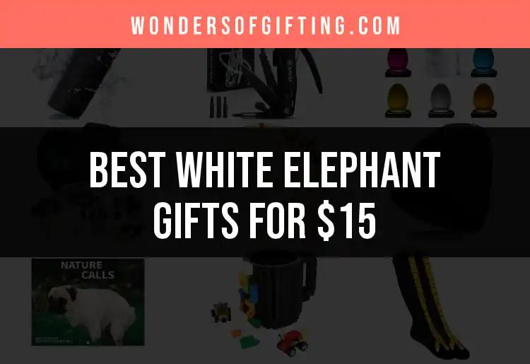 16 Irresistible White Elephant Gifts for $15